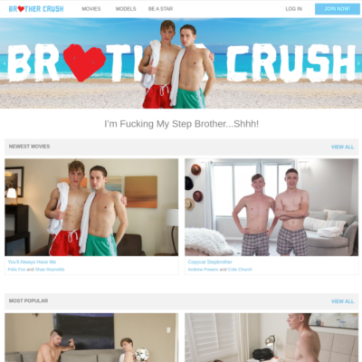 stepbrother gay sex taboo videos
